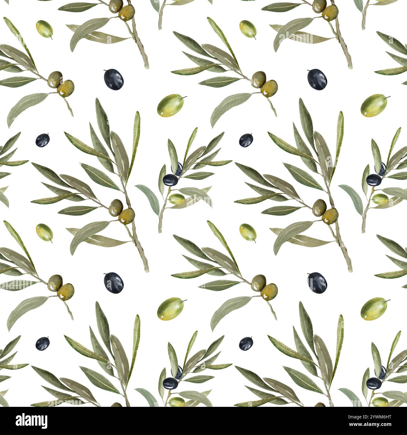 Olive branch seamless pattern. Hand drawn watercolor illustration ...