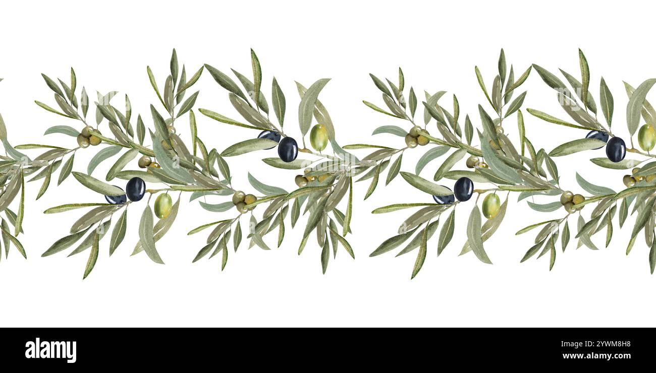 Olive branch seamless border. Hand drawn watercolor illustration. Green ...
