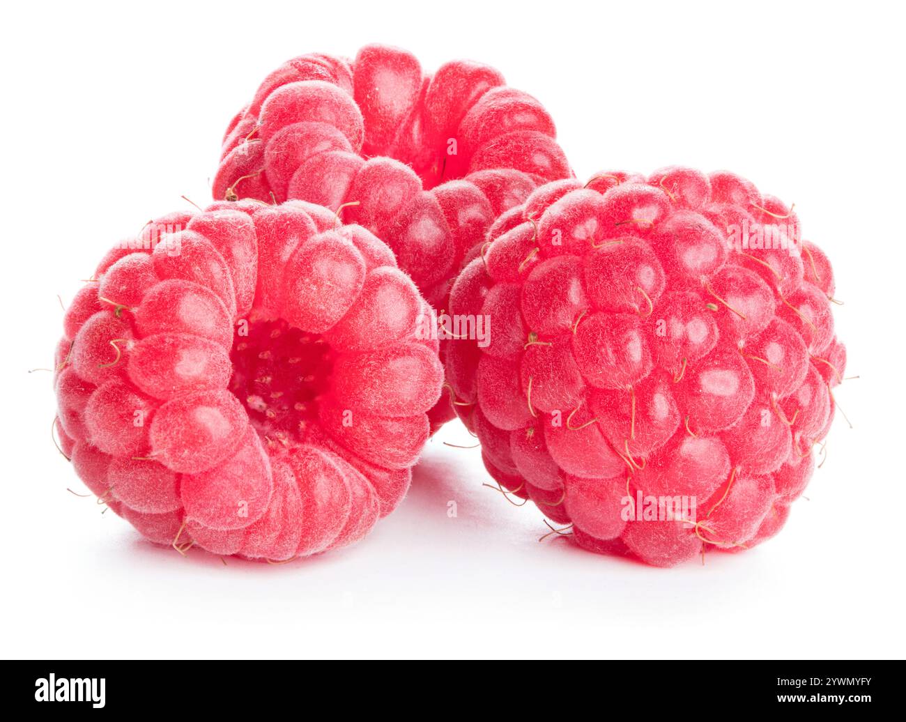 Raspberry isolated on white background Stock Photo - Alamy