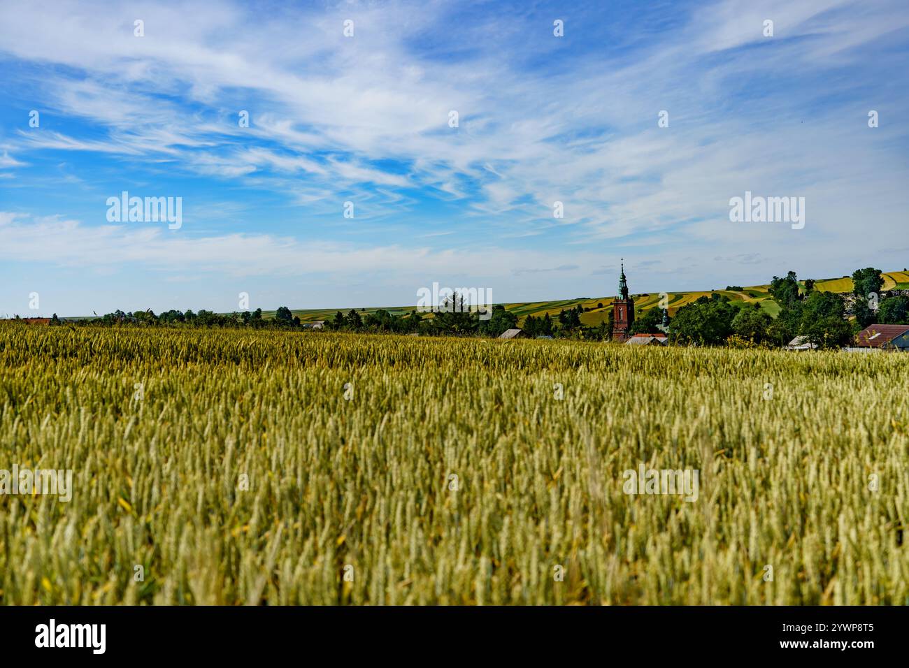 A small hidden church in the midst of farmland where grain grows Stock ...