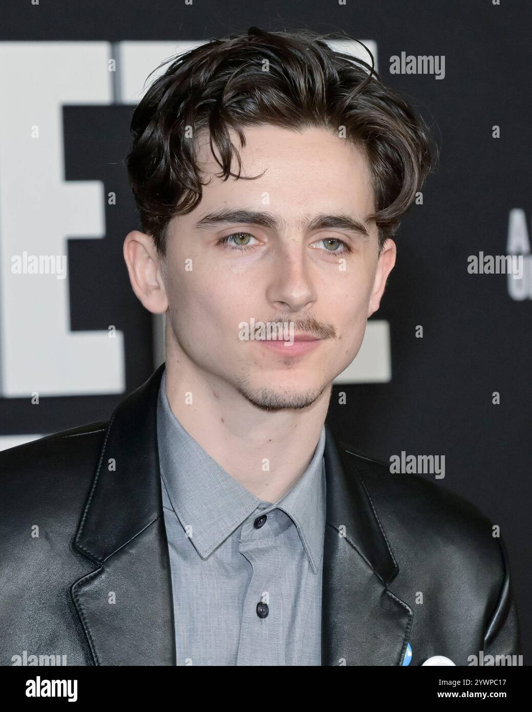 December 10, 2024, Hollywood, California, USA: Timothee Chalamet ...