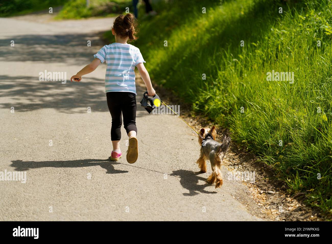 Little girl walks with a small dog in the summer outdoors. Photo from ...