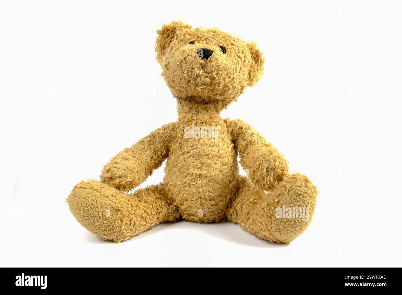 Teddy bear on a white background Stock Photo