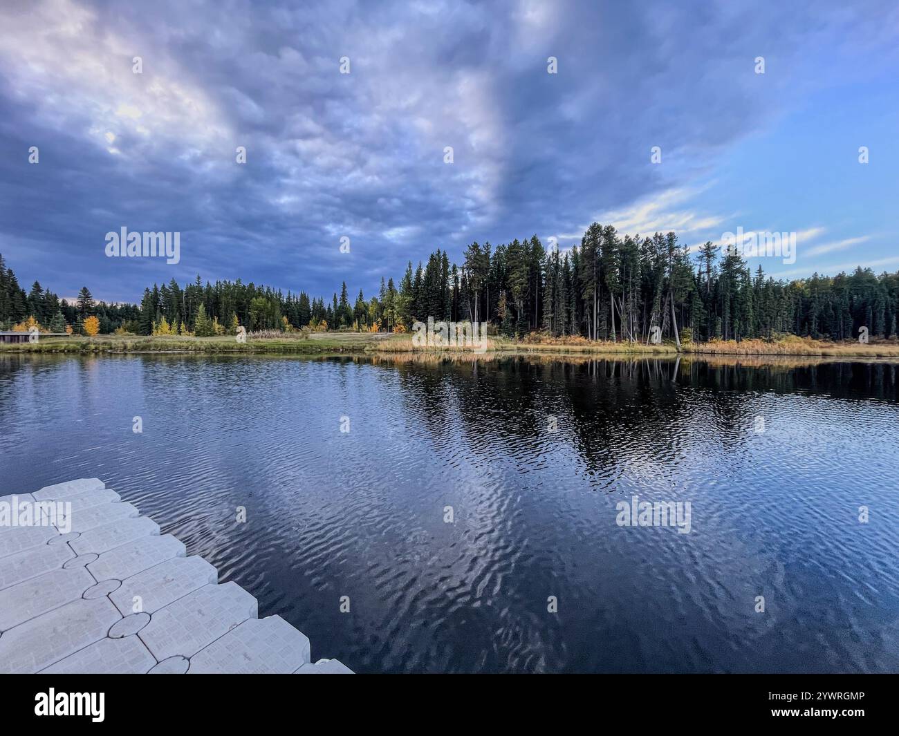 An overcast sky casts a soft light over a tranquil lake, with the mirrored reflection of dense forest lining the shores, creating a peaceful and conte - Smartphone Captured Stock Image