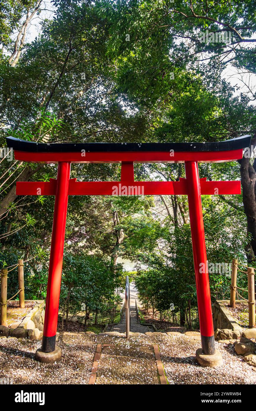 Torii gate of Mitsuike Ryu Jingu in Mitsuike Park Stock Photo - Alamy