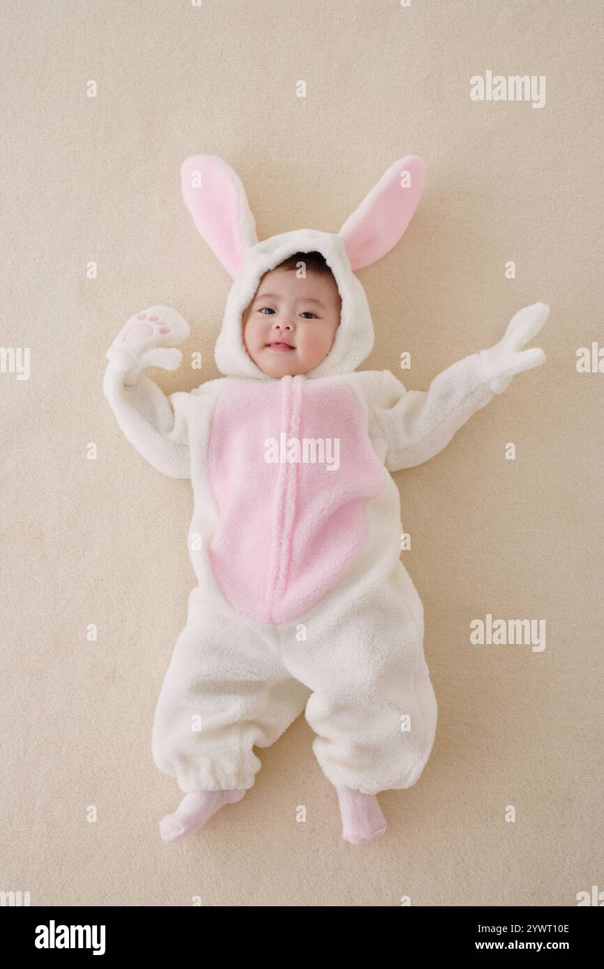 New Born Baby Girl Rabbit Design Dress In Blended Stuff With Bib And Cap main image 0