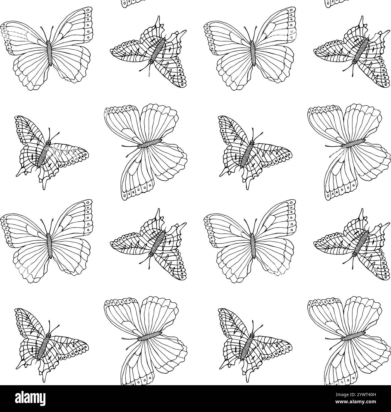 Vector seamless pattern of hand drawn doodle sketch butterfly isolated ...