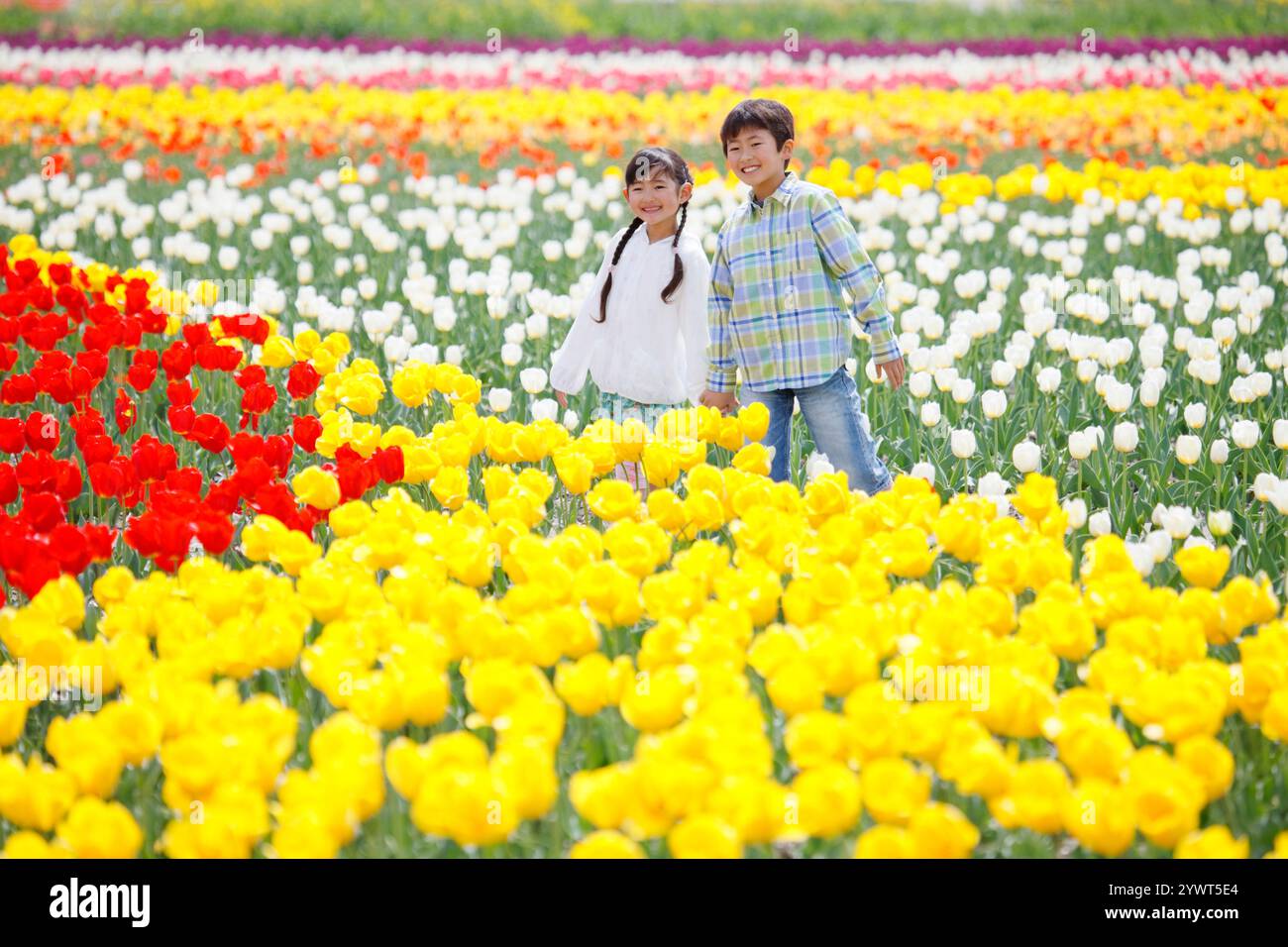 Brother and sister walking in tulip field Stock Photo - Alamy