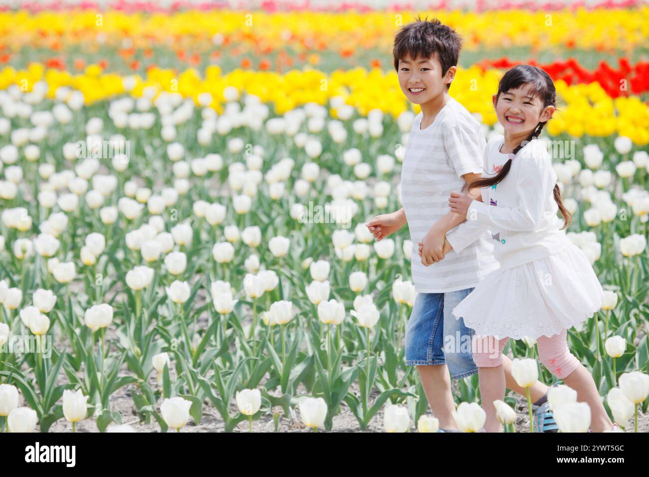 Brother and sister running in a tulip field Stock Photo - Alamy