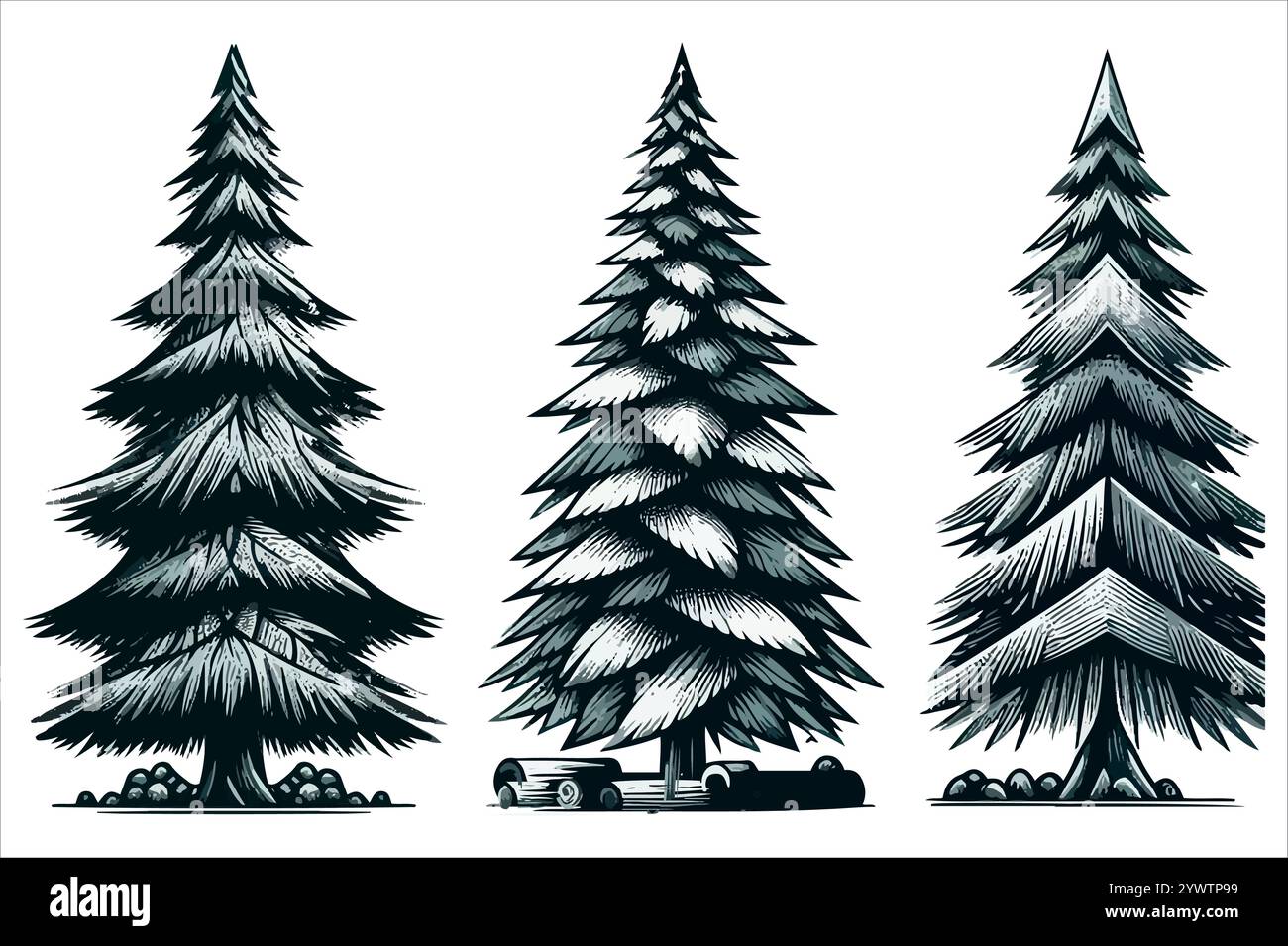 Unick silhouette tree hi-res stock photography and images - Alamy