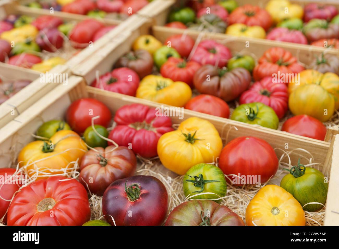 Colorful wooden fruit boxes hi-res stock photography and images - Alamy