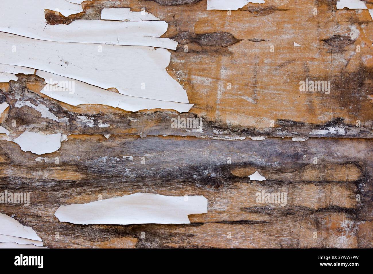 peeling texture of painted wood surface. old weathered background Stock Photo