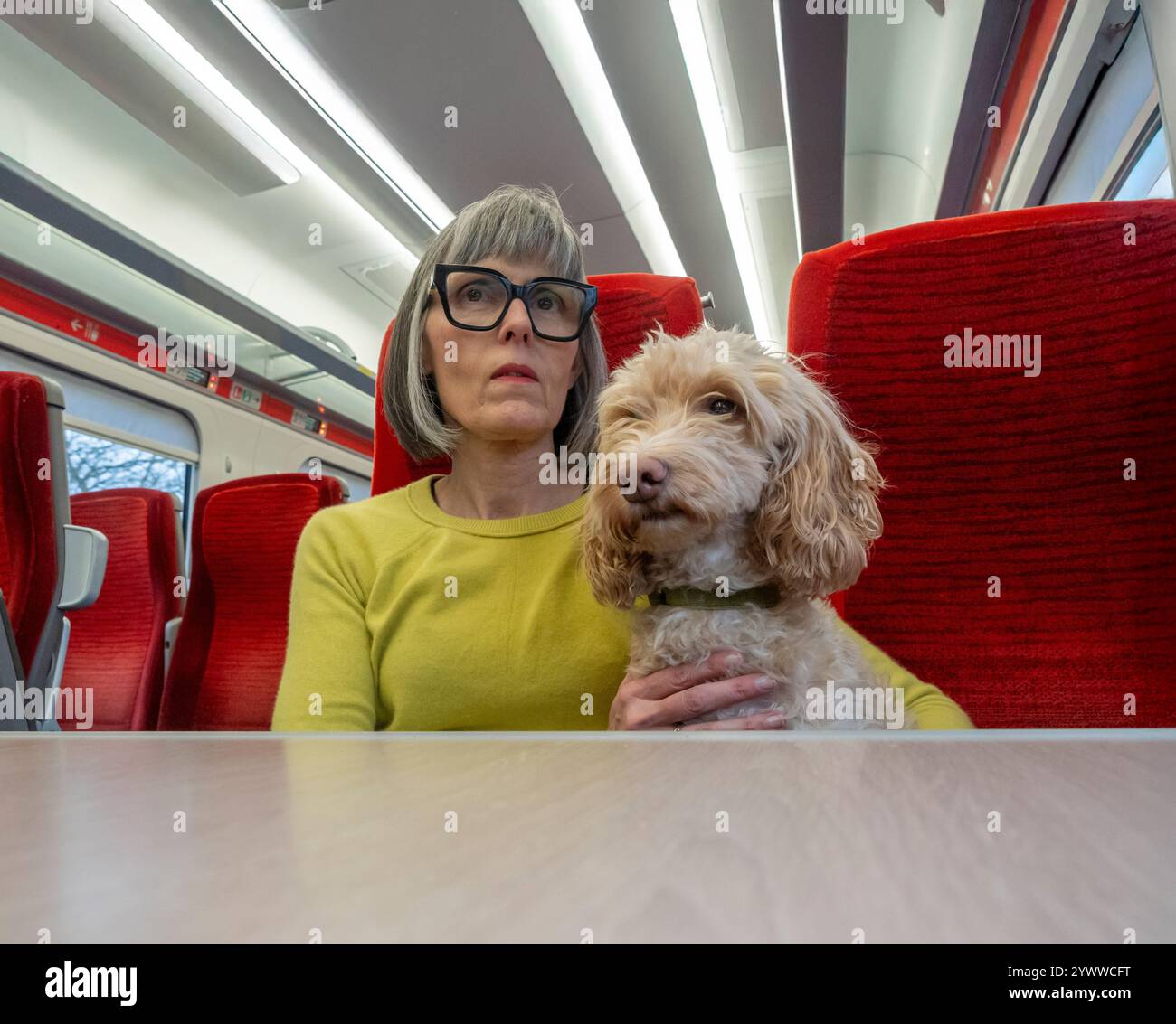 Mature caucasian female sitting on empty train with a cream coloured ...