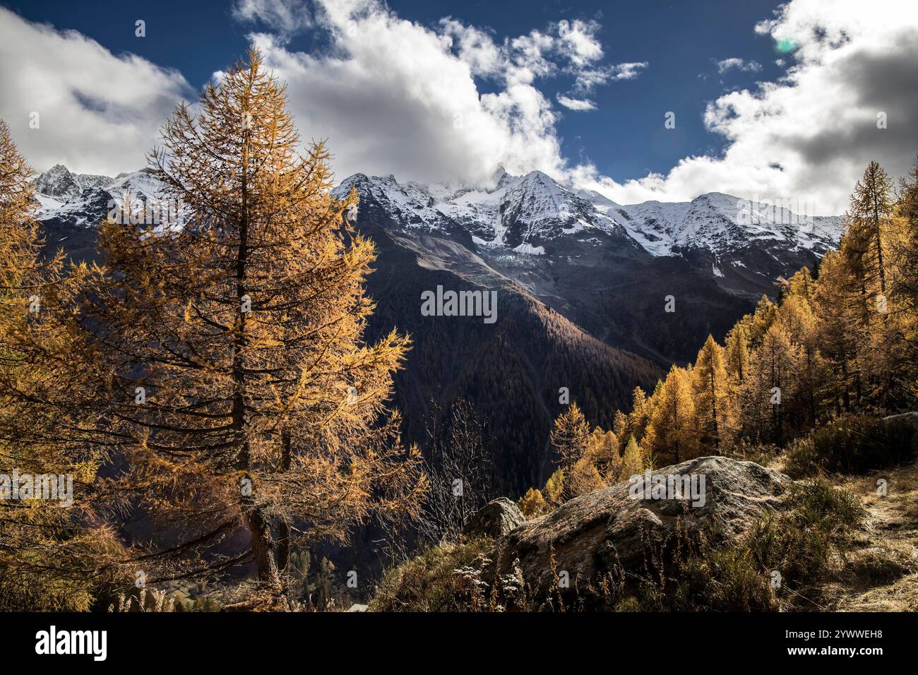 Im Lötschental im Kanton Wallis  in der Gem. Blatten am 25.10.2024.  / In the Lötschental in the canton of Valais in the municipality of Blatten on 25 Stock Photo