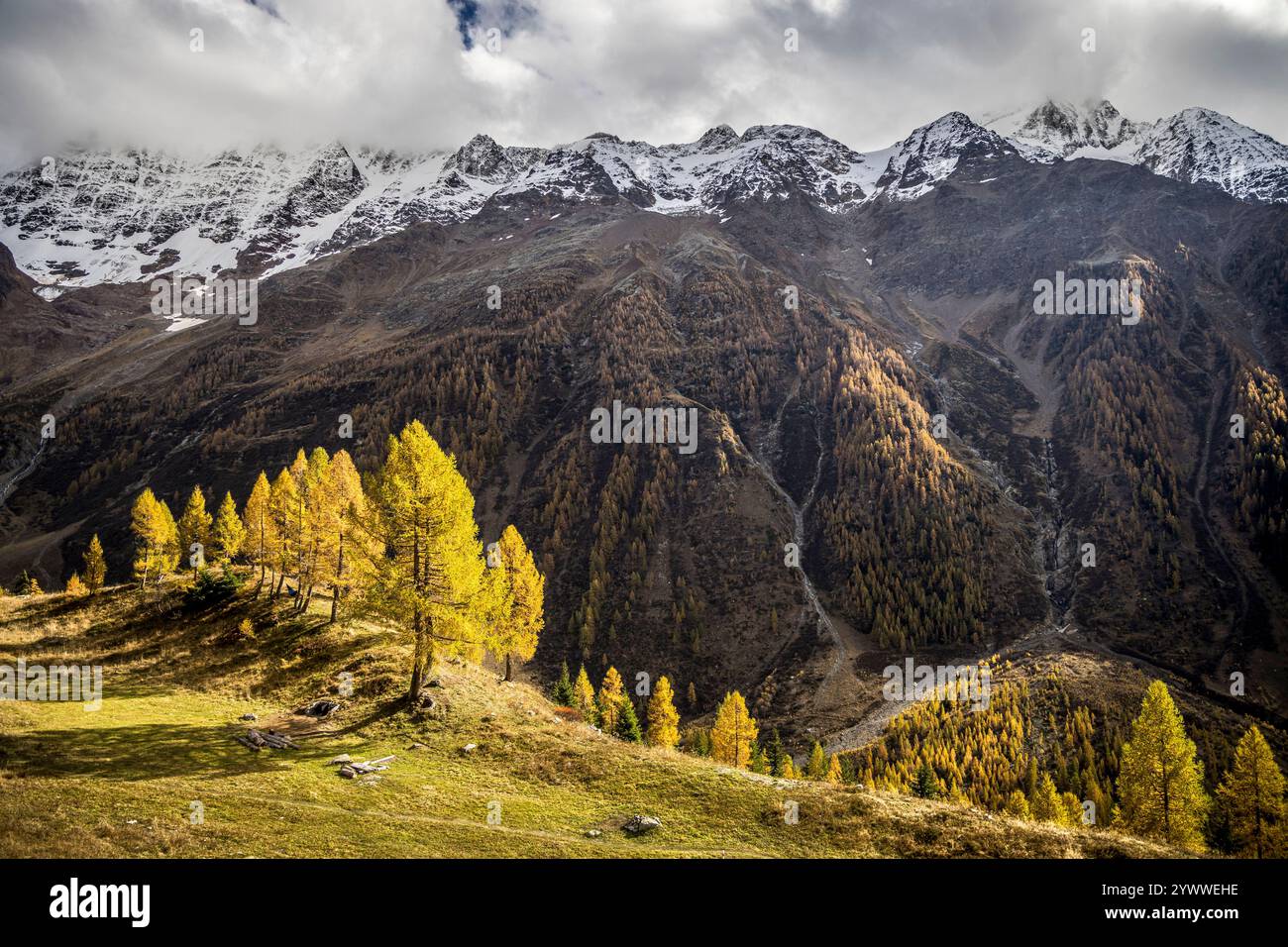 Im Lötschental im Kanton Wallis  in der Gem. Blatten am 25.10.2024.  / In the Lötschental in the canton of Valais in the municipality of Blatten on 25 Stock Photo