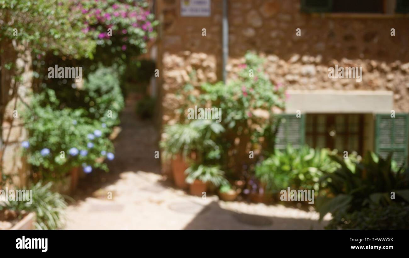 Outdoor scene in mallorca with blurred background, showing defocused ...