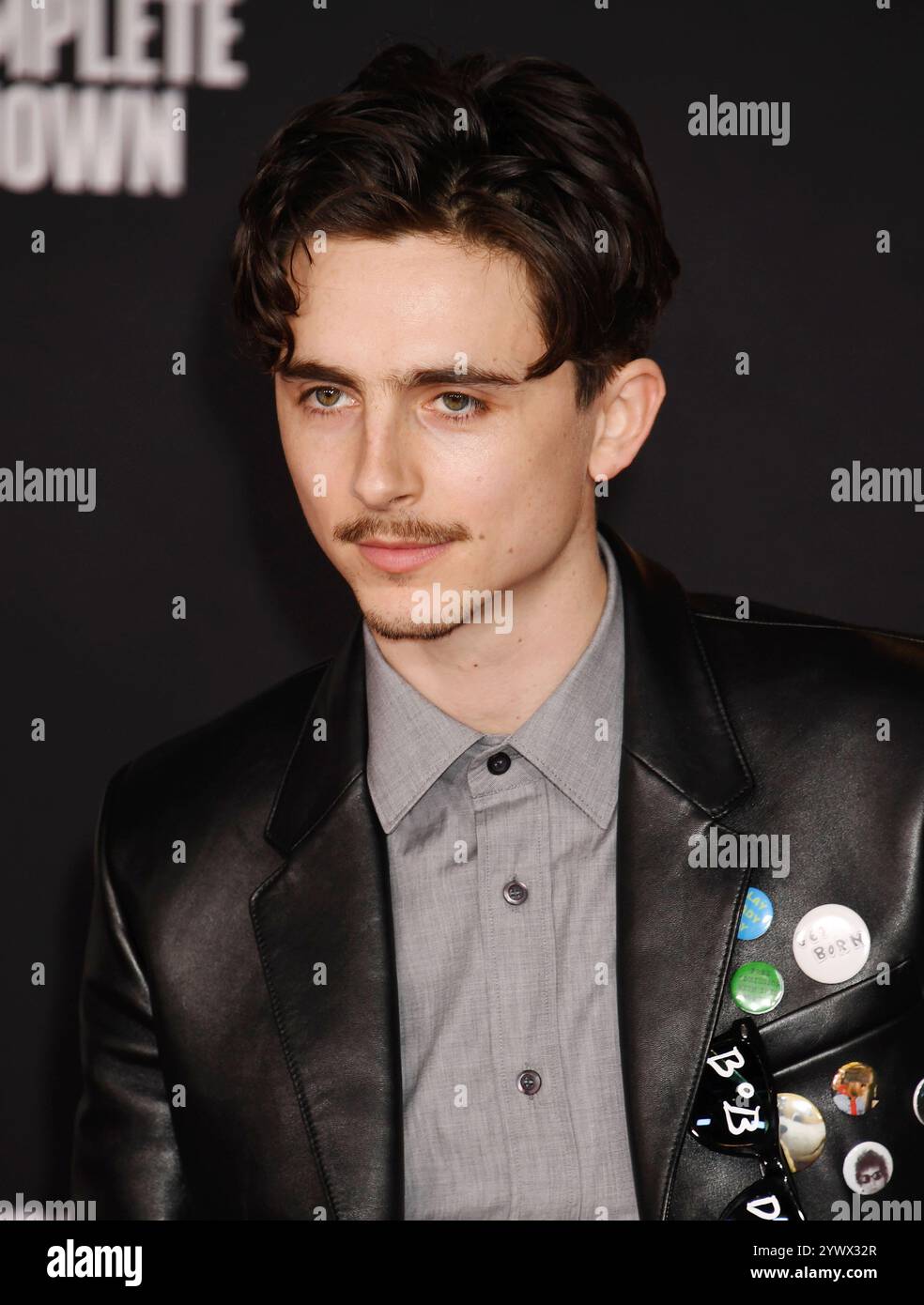 HOLLYWOOD, CALIFORNIA - DECEMBER 10: Timothée Chalamet attends the Los ...