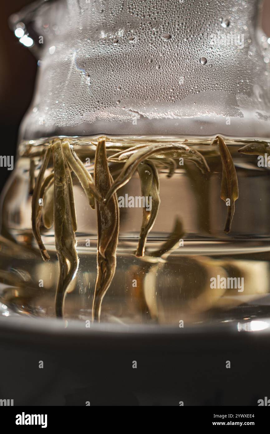 Encapsulation Tea Enjoy a Fresh Herbal Tea Infusion in a Glass Teapot for an exquisite ...