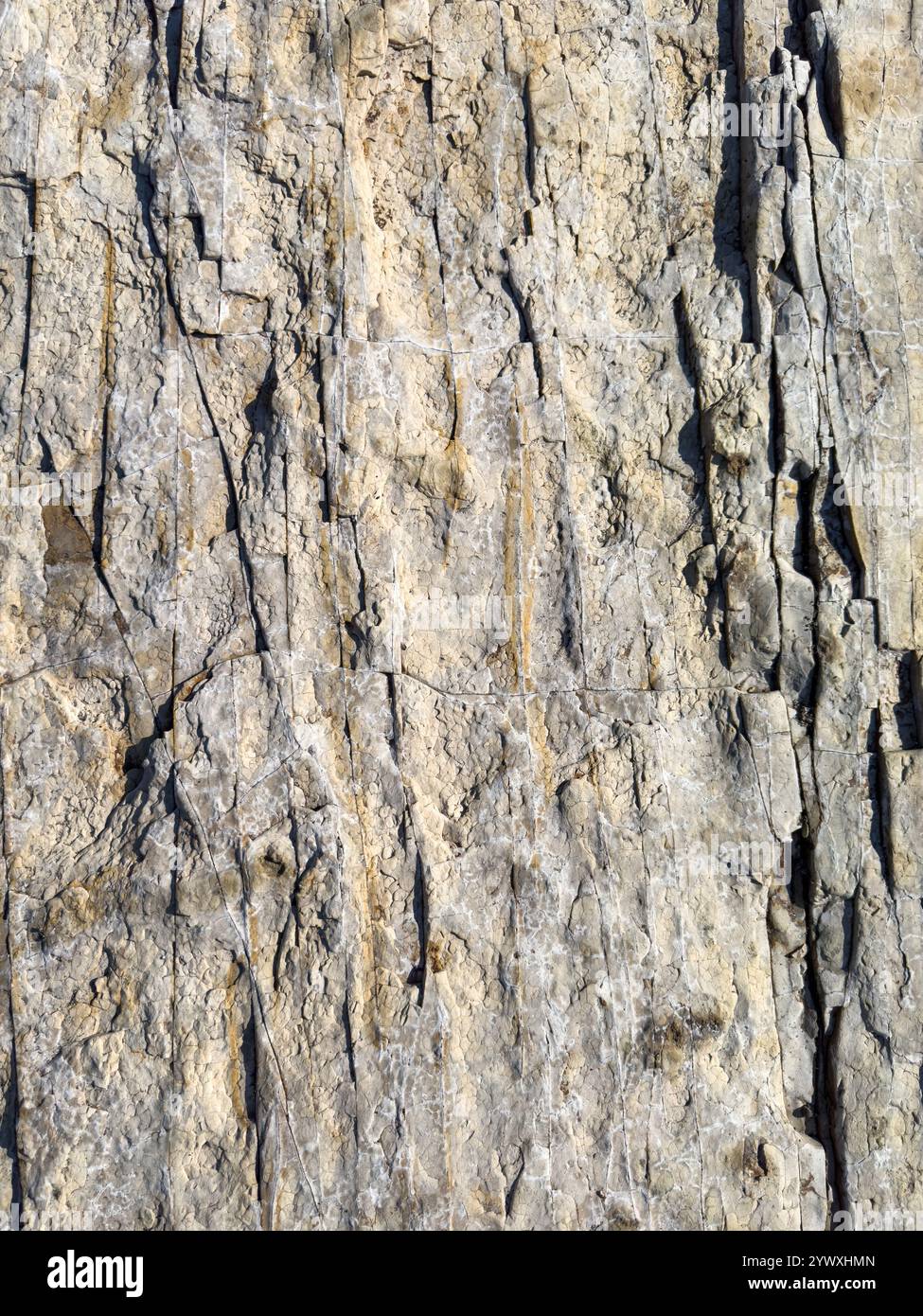 Close view of rugged rock surface with intricate textures and patterns created by weathering under sunlight. Stock Photo