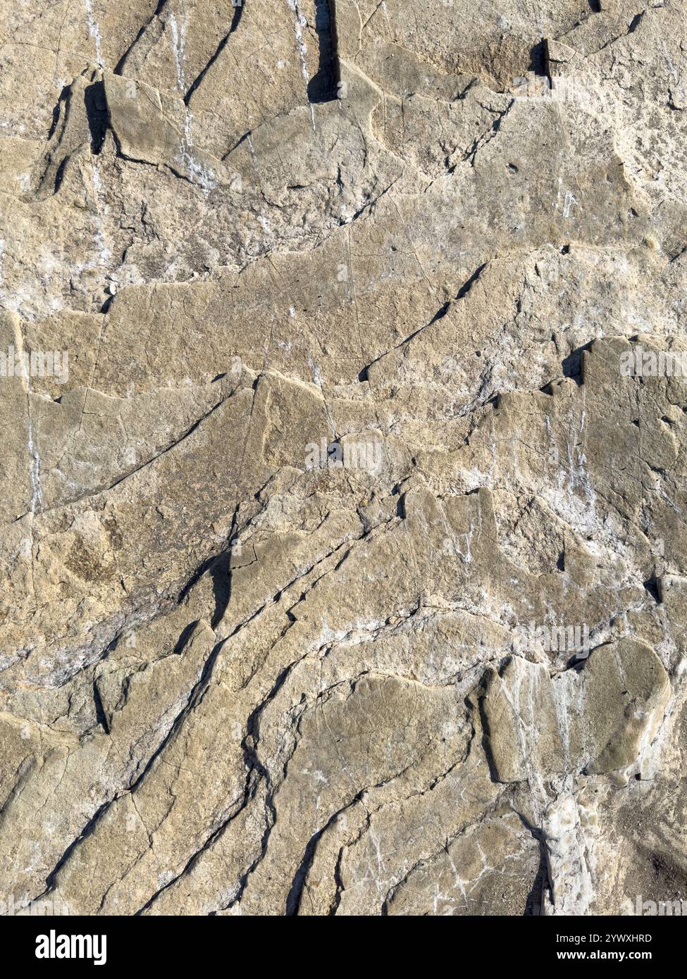 Close-up showcases rugged rock surface featuring unique textures, lines, and patterns under bright sunlight. Stock Photo