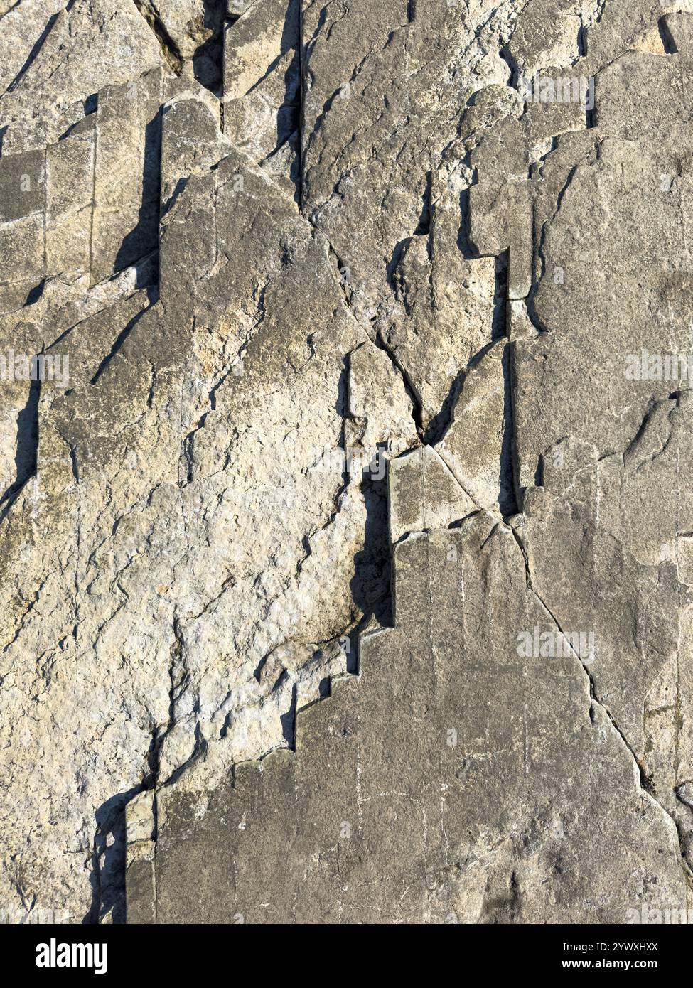 Intricate patterns emerge from weathered rock surface, showcasing nature's artistry under sunlight. Stock Photo