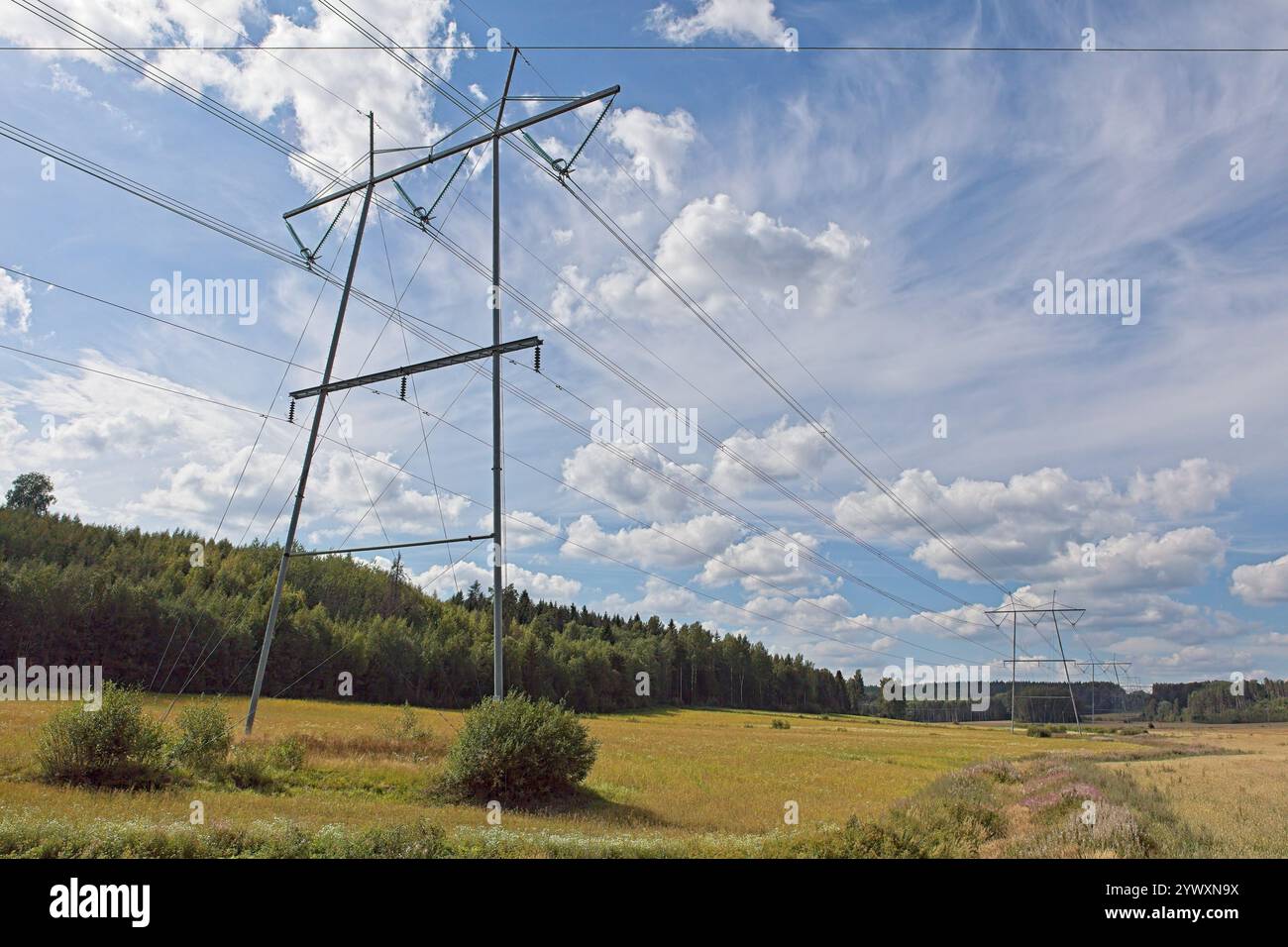 Pylon and power lines on a cloudy summer day Stock Photo - Alamy