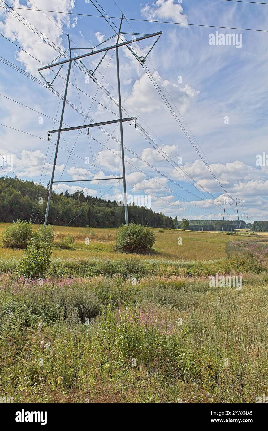 Pylon and power lines on a cloudy summer day Stock Photo - Alamy