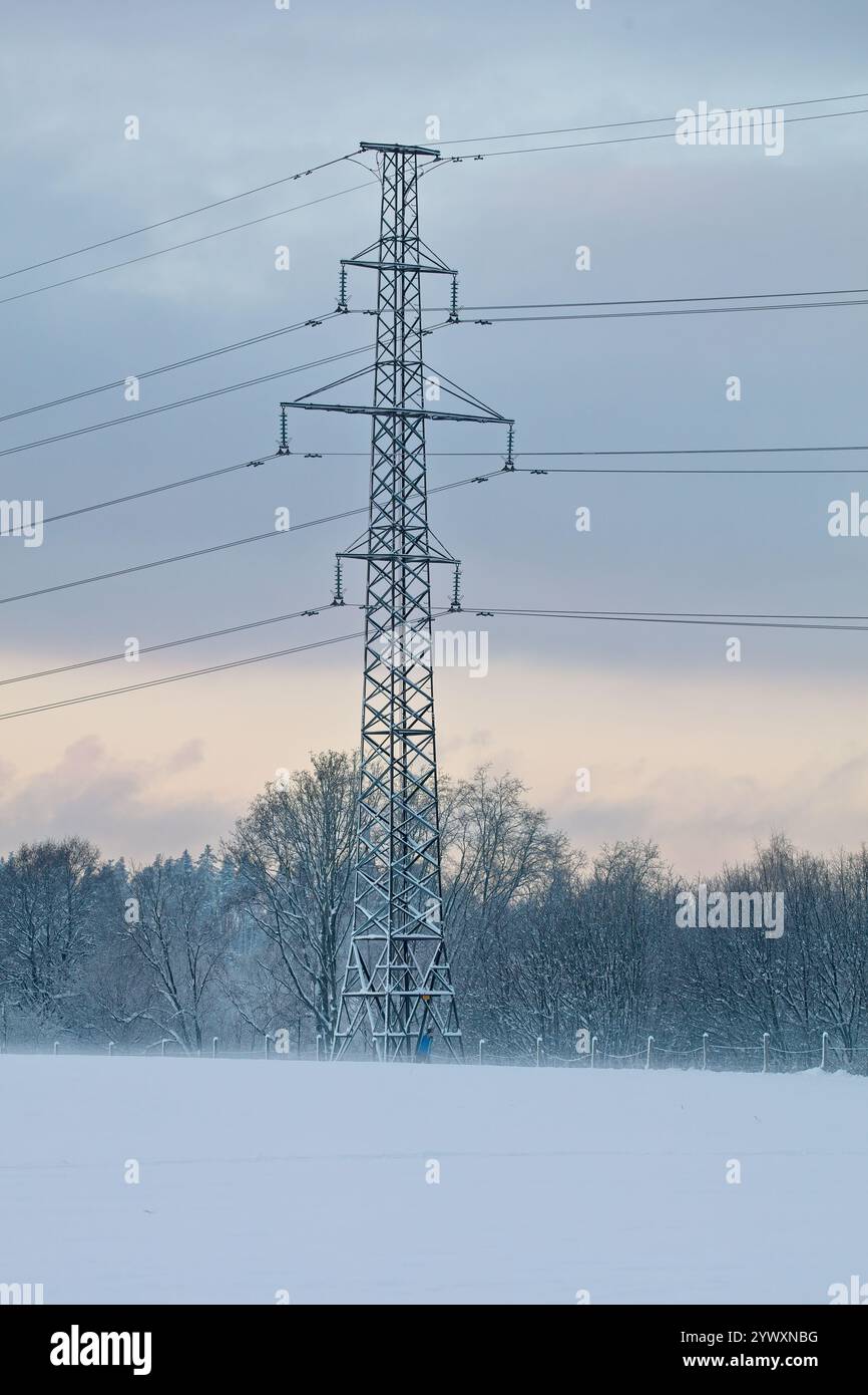 Pylon and power lines on a cloudy winter day Stock Photo - Alamy