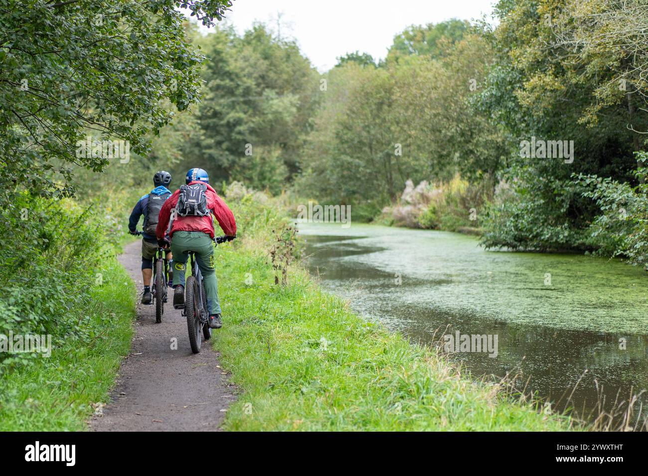 Rear view male in hi-res stock photography and images - Alamy