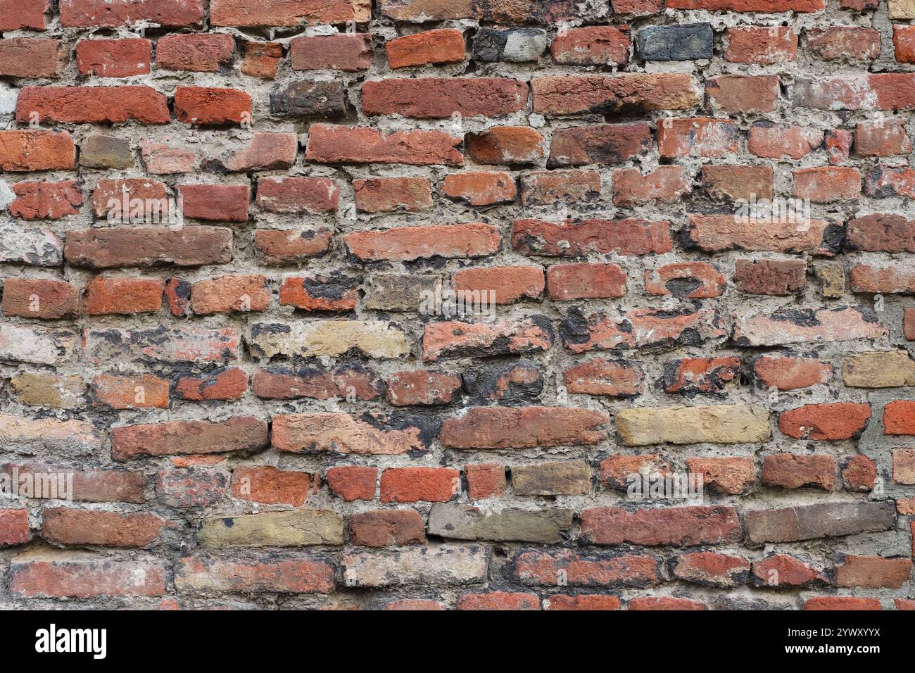 Old brick wall background close up Stock Photo