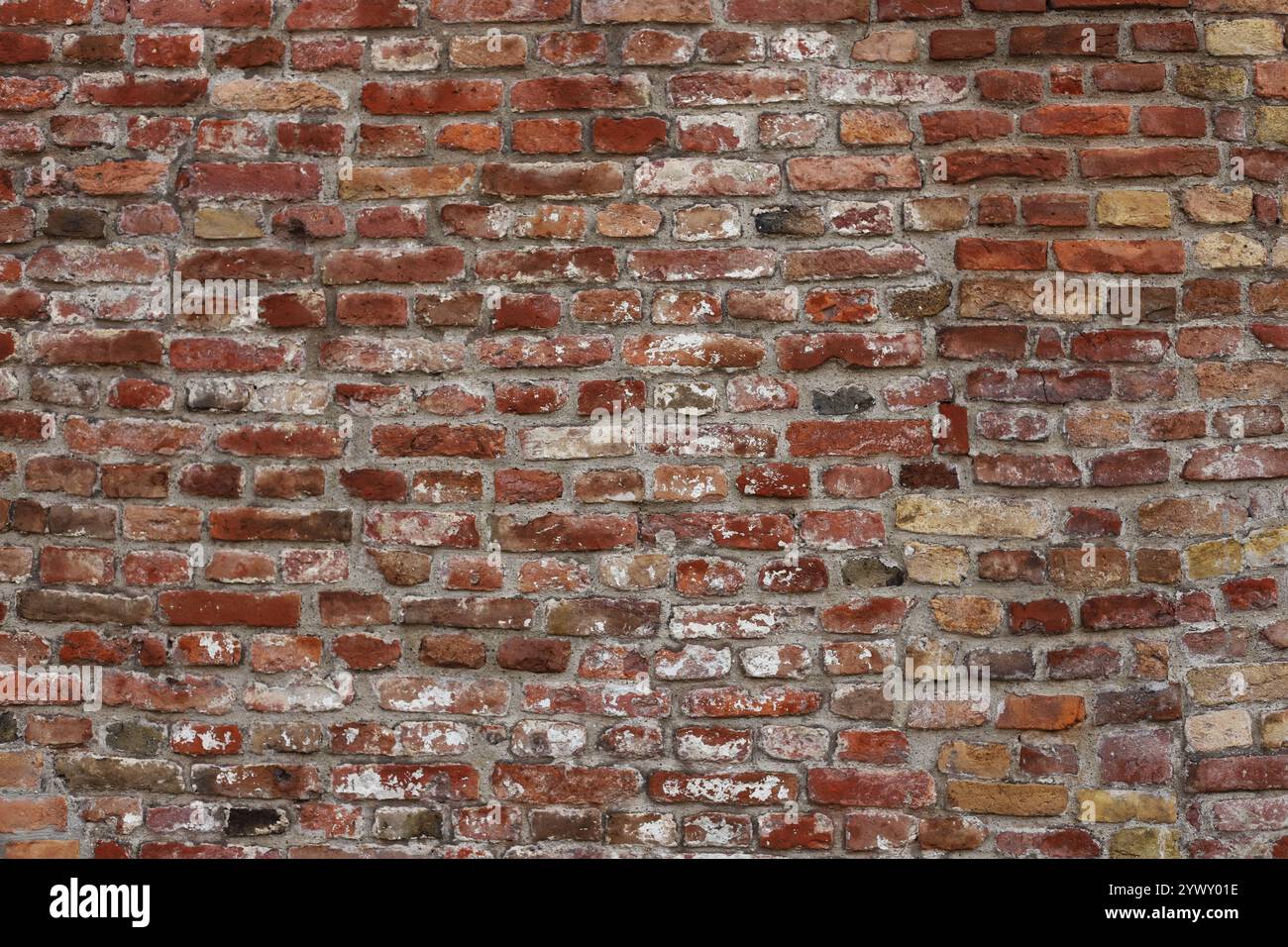 Old brick wall background close up Stock Photo