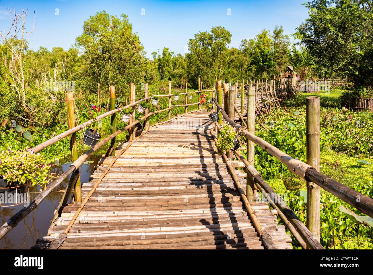 Wooden bridge in Vietnam among green plants Stock Photo - Alamy