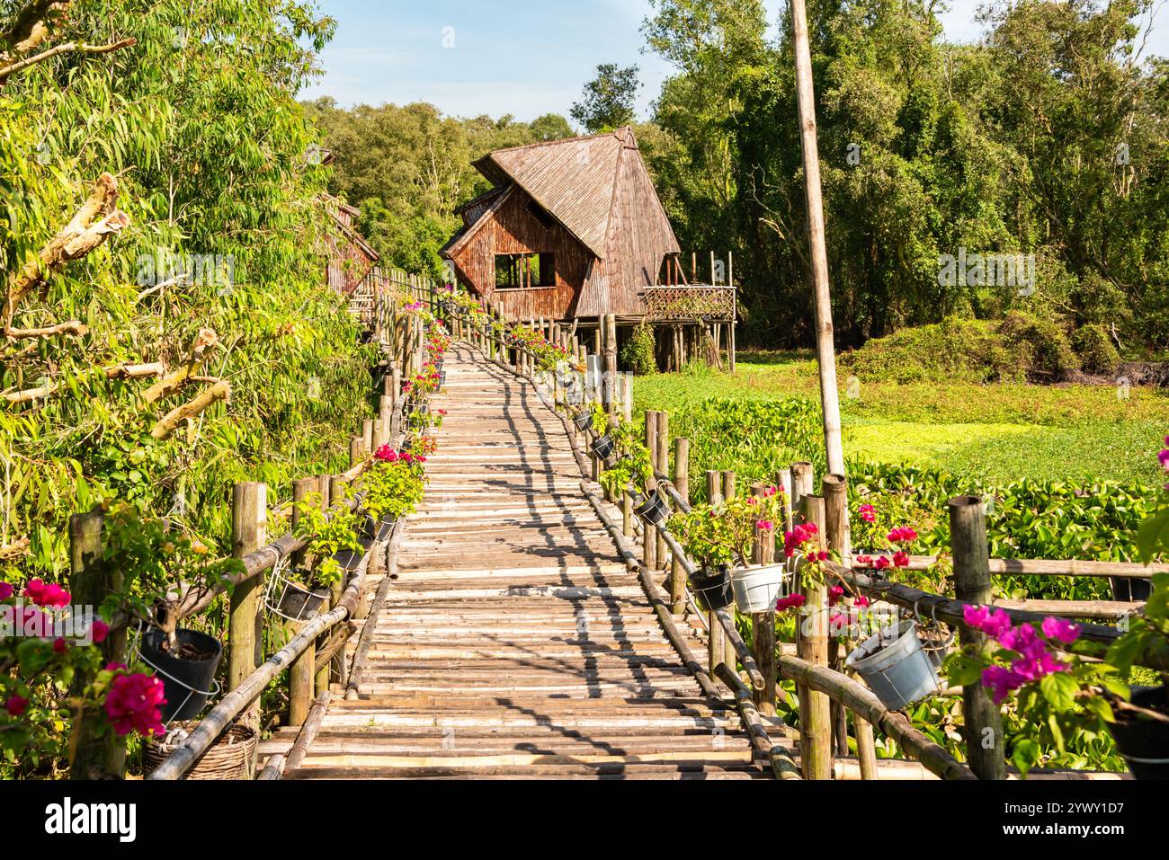 Wooden bridge in Vietnam among green plants Stock Photo - Alamy