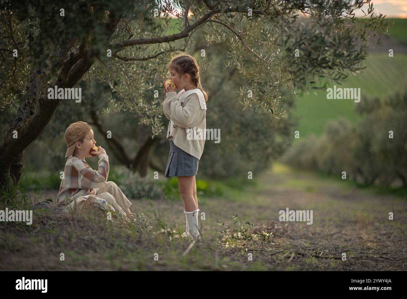 Boy and girl are eating apples under olive trees in countryside Stock ...