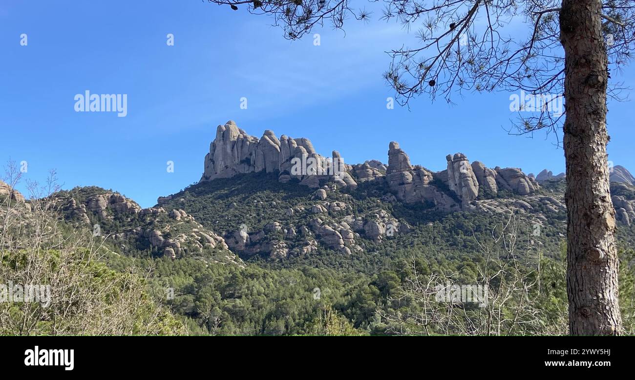 Fantastic panorama - Smartphone Captured Stock Image