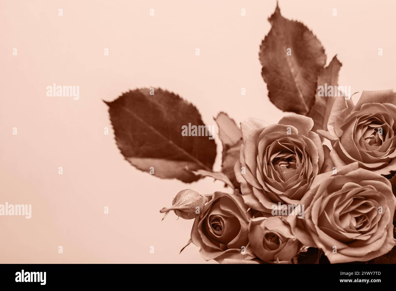 Valentines day 2025 greeting hi-res stock photography and images - Alamy