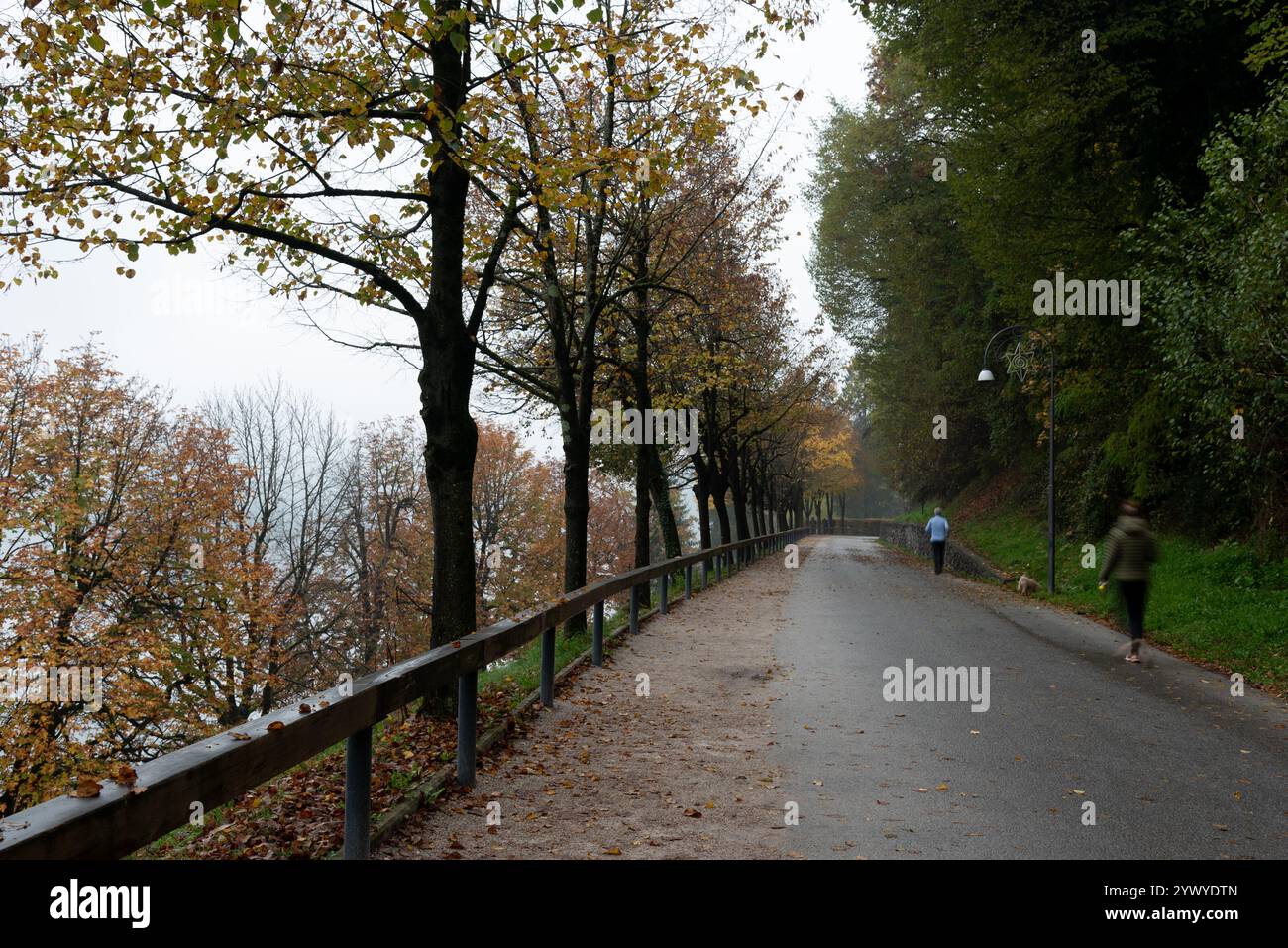 People enjoying a walk on a paved path bordered by trees and a railing during a foggy autumn day. Lake Bled. People active outdoors Stock Photo