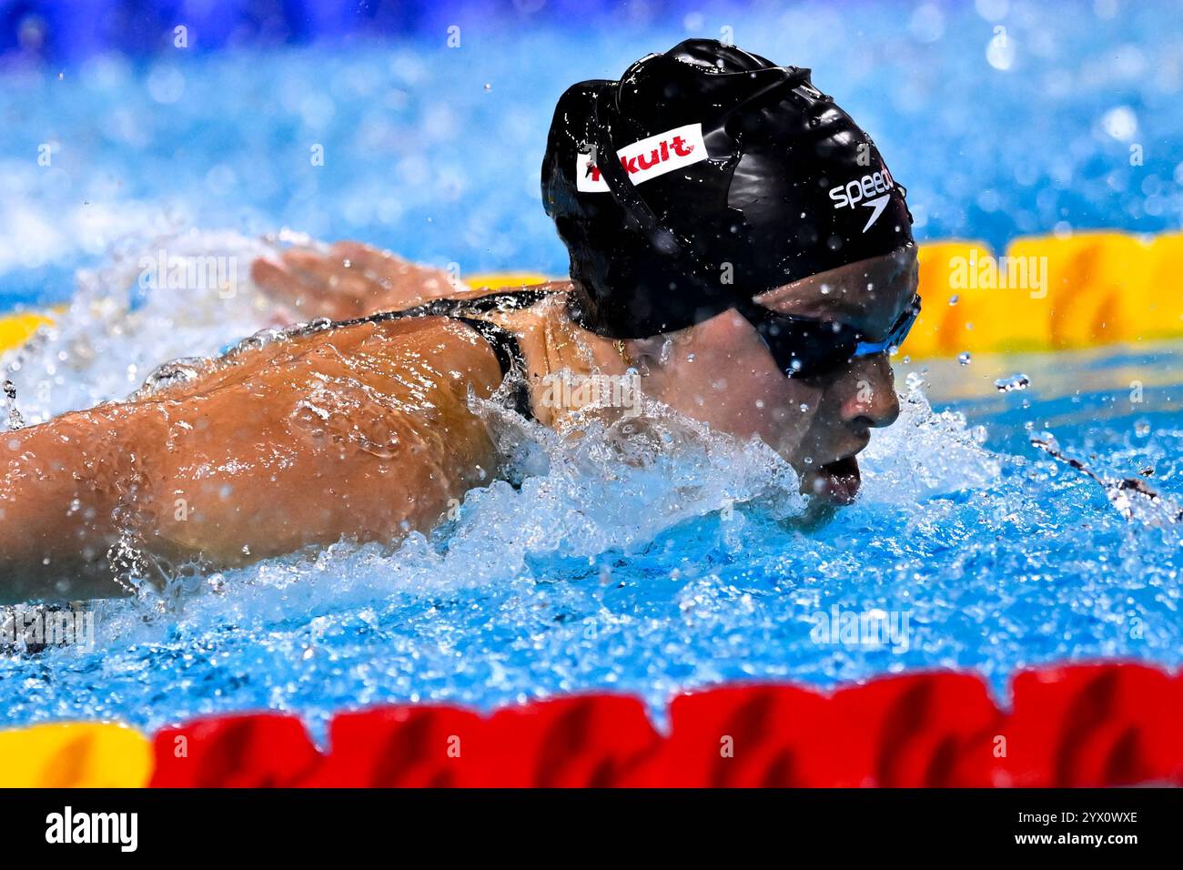 World aquatics swimming championships 25m budapest 2024 hires stock