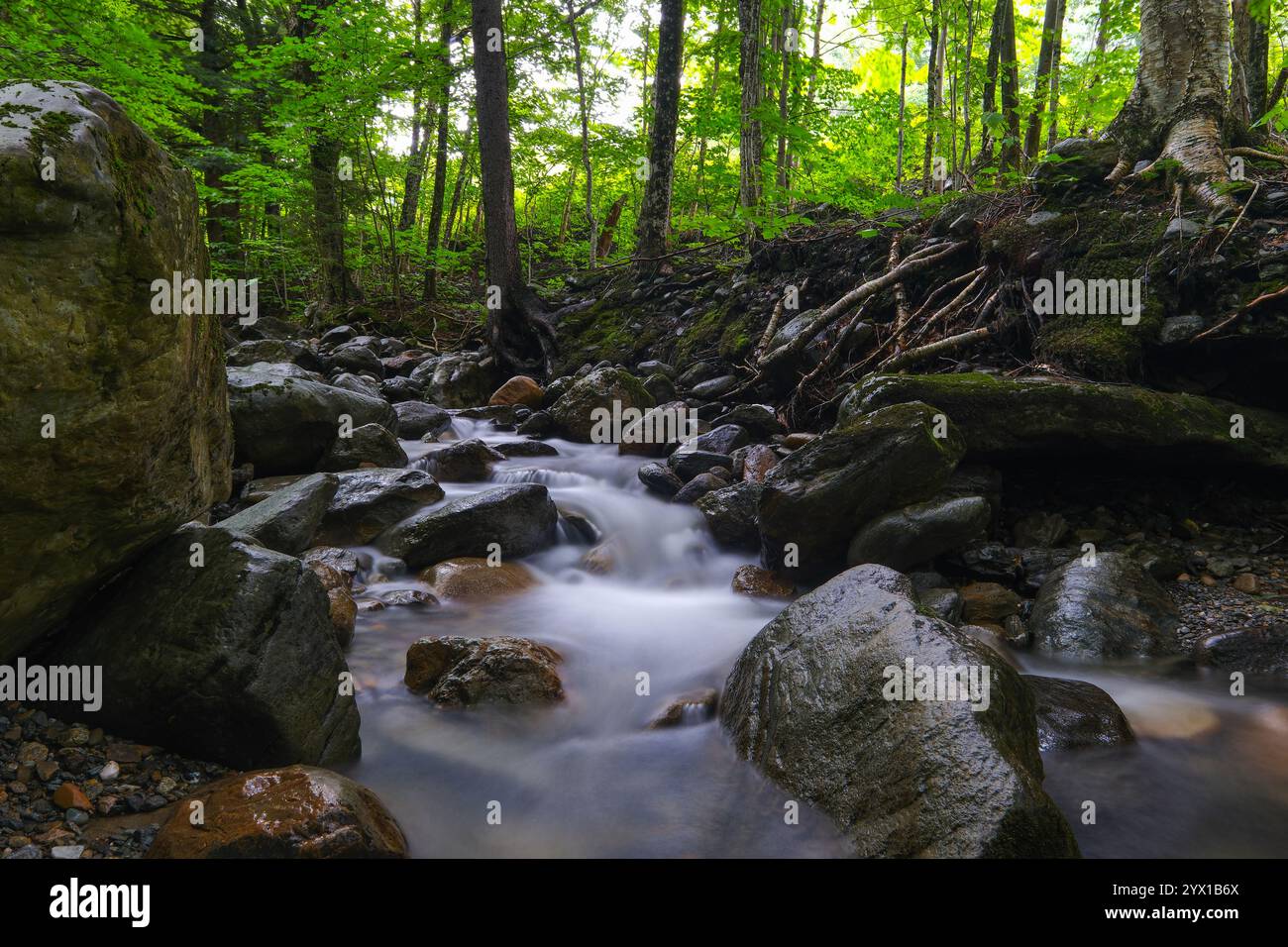 Peaceful stream flowing through rocks hi-res stock photography and ...