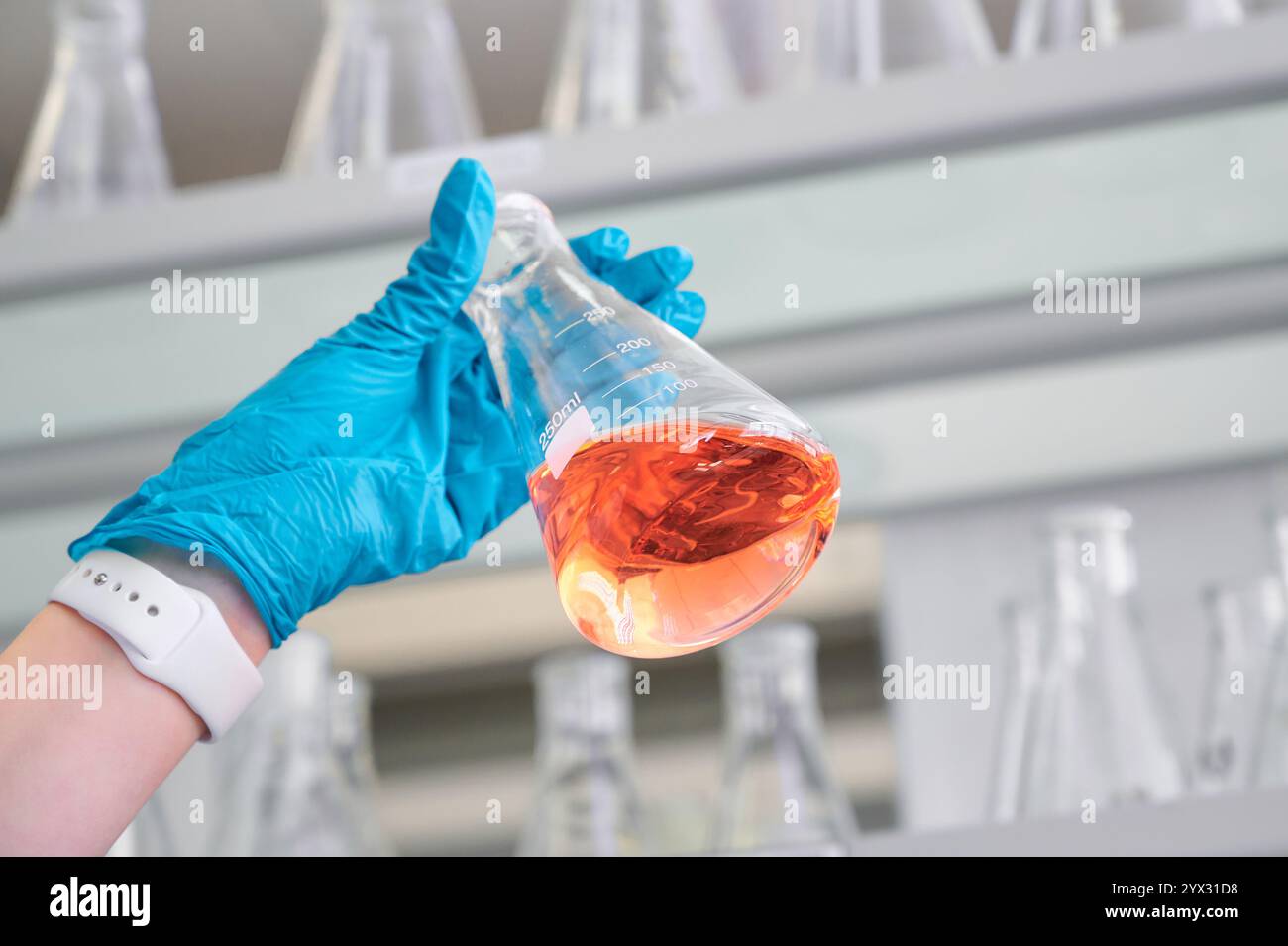 Scientist in a laboratory holding a conical flask containing orange liquid while wearing blue protective gloves Stock Photo