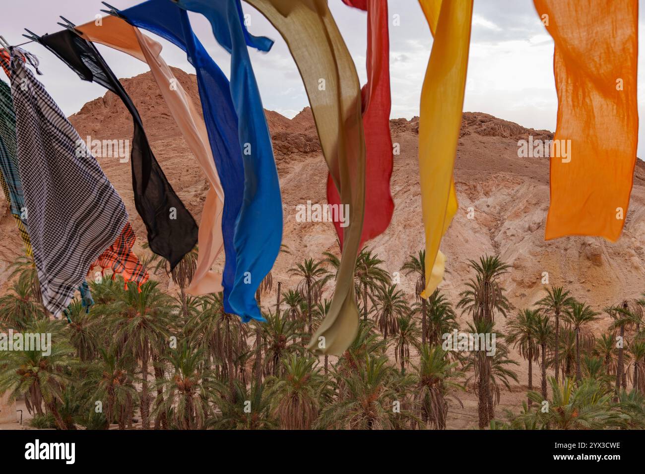 Patterned materials hi-res stock photography and images - Alamy