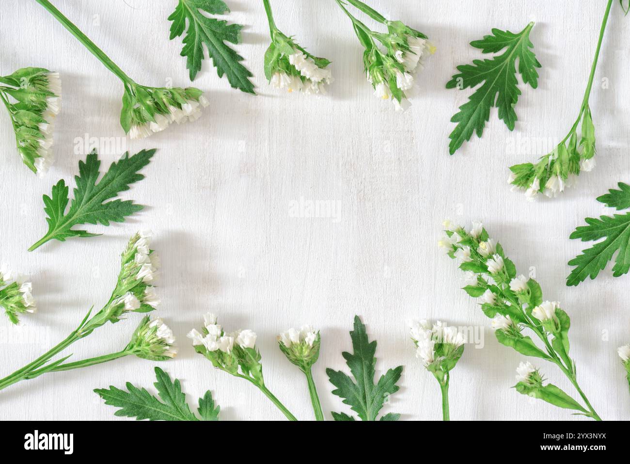 Round frame of wonderful white flowers and green leaves Stock Photo - Alamy