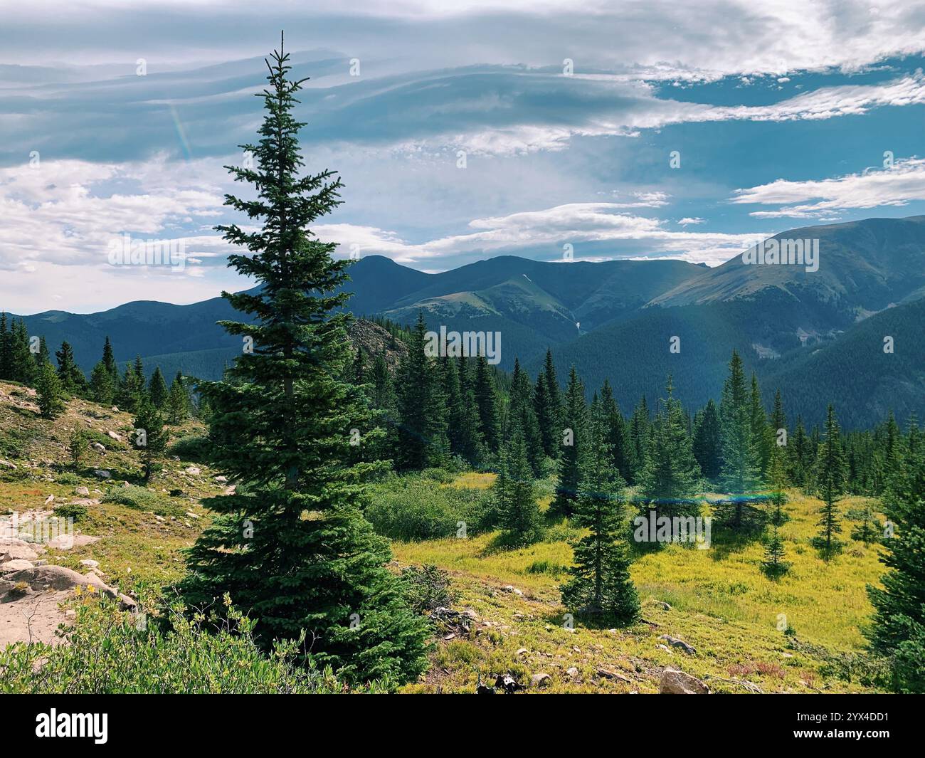 Luxury travel - Smartphone Captured Stock Image