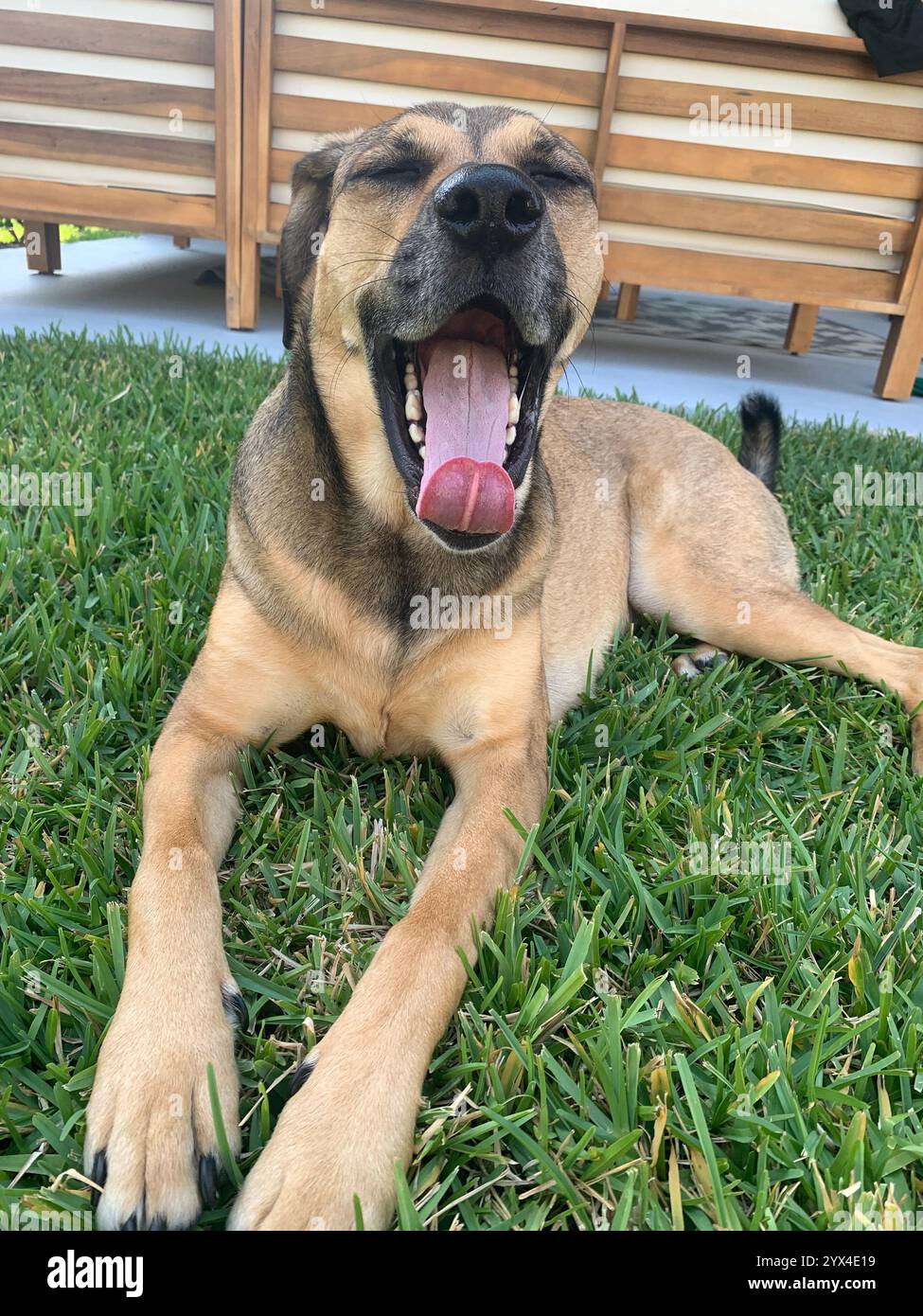 Luxury travel - Smartphone Captured Stock Image