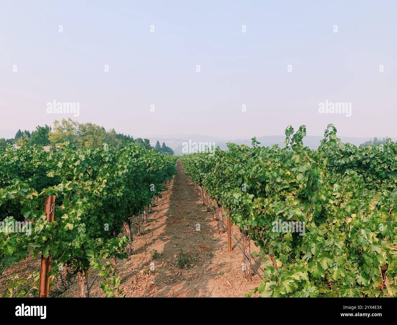 Luxury travel - Smartphone Captured Stock Image