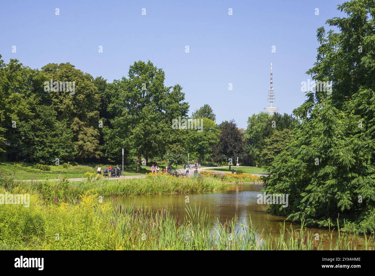 Park Grosse Wallanlagen With Park Pond And Television Tower Telemichel Park Grosse Wallanlagen With Park Pond And Television Tower Telemichel