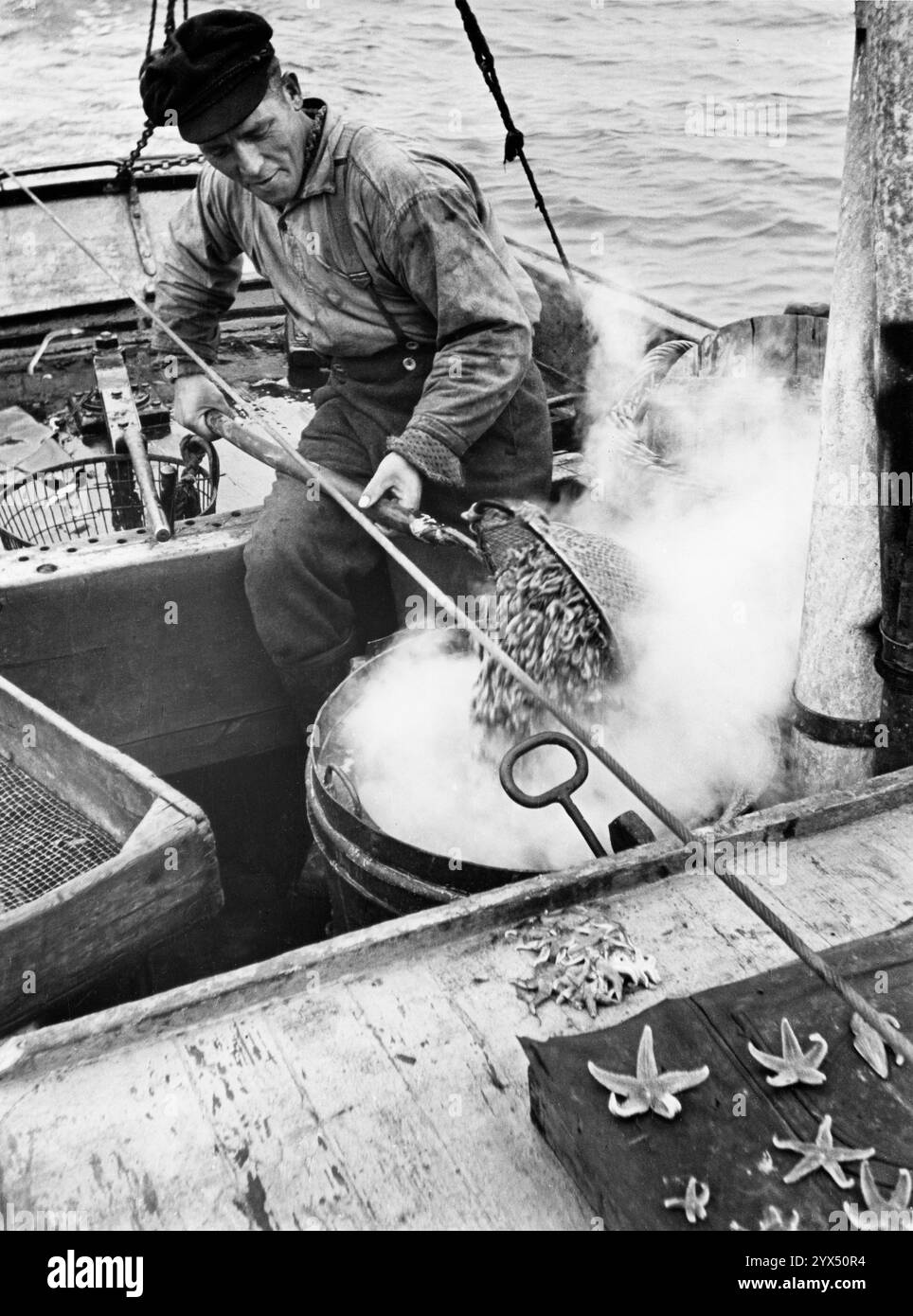 Crab fisherman cooking his catch on the boat in Büsum 1935 [automated ...