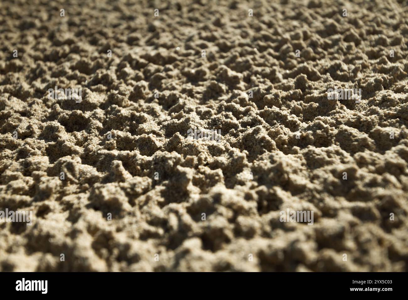 Microscopic sand hi-res stock photography and images - Alamy