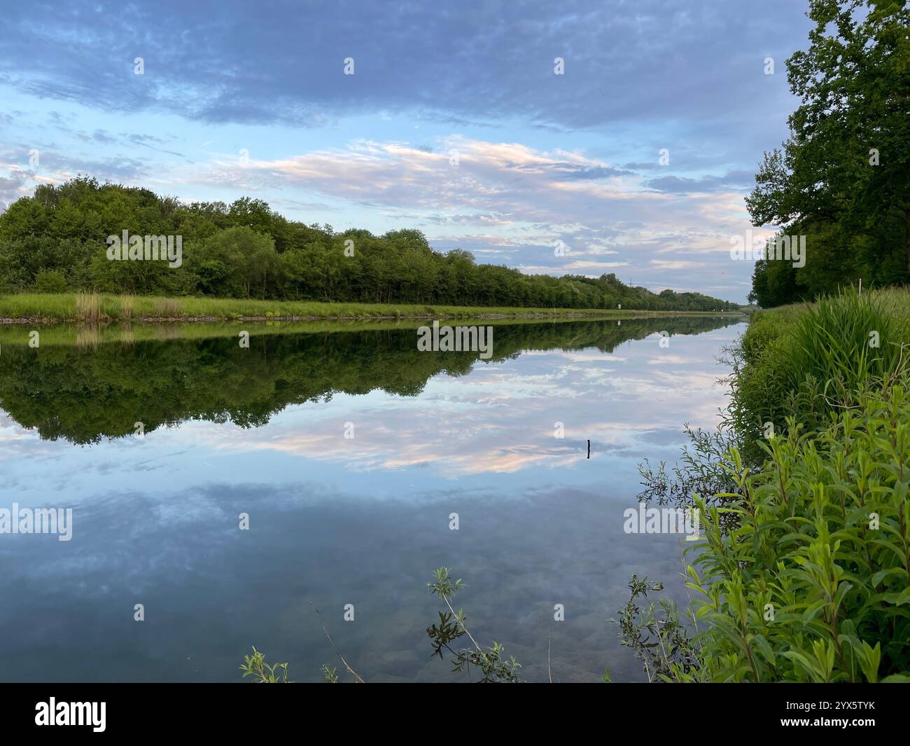 A canal built for ships to pass through, the trees around the canal reflecting the canal - Smartphone Captured Stock Image