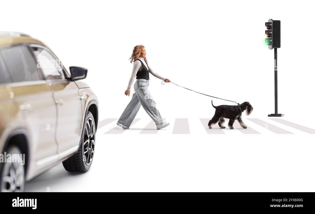 Asian woman crossing a street with a dog at green traffic light ...